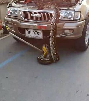 ̩������������������ڷ���һ����������3.7�ף���60��