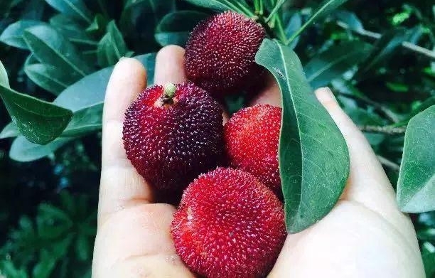 ��÷��Ҫ��һ�꣬�ǲ����ȼ޸��Լ�