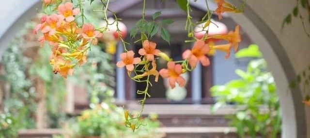 Ʒ������С˵���ذˣ�