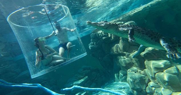 ����ͼ�㣺˧����3�룡�����Ͻ������ɱ� û�����ˤ������