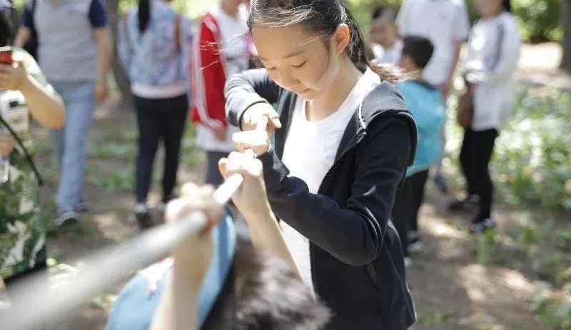 ��ͯ����С���12���ִͥ��һ�Ρ��������񡱣���
