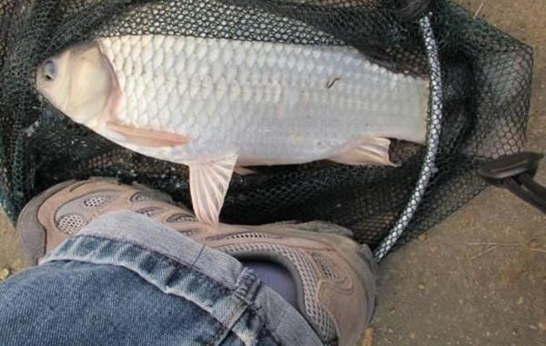 30�������ϵ���̸�Լ��ں��������ľ��飬��߼�¼һ�����300���Ұ������