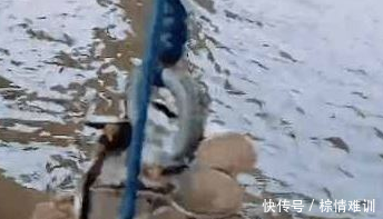 ���ӵ���ʱ����������ˮ�У����������ϵĶ��������ӱ�ʾ�����ϰ�