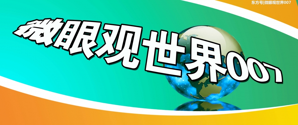 ֪���벻иŬ���ܶ�Ӧ���Ȩ������