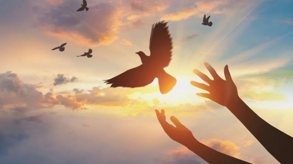 �¼�����Ư�ı�ҵ����Ը��������ɣ��������������