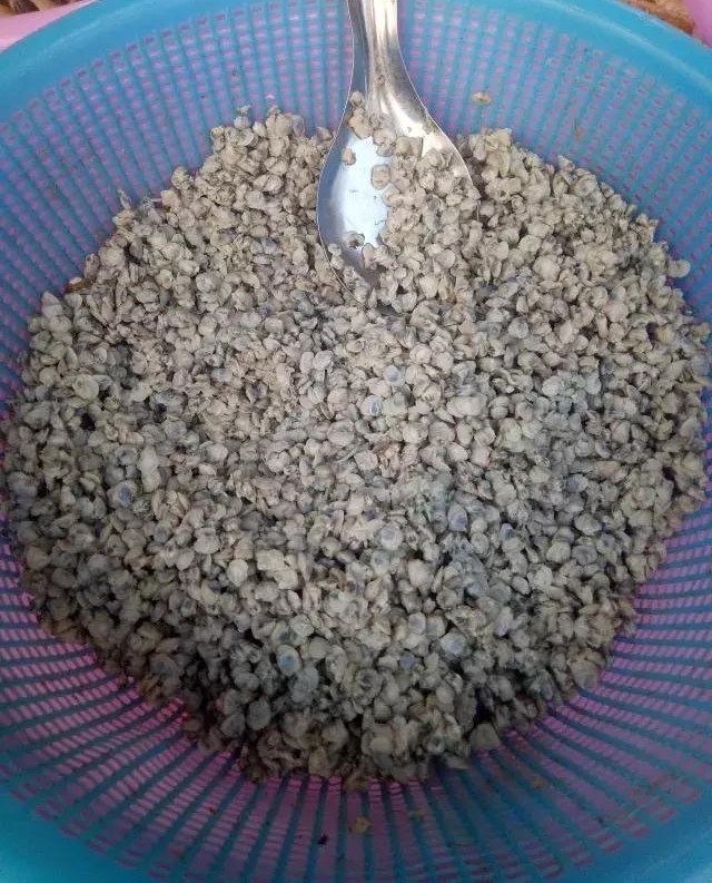 ר���ں����˵�ͯ����䣬�����������Ӱ�ӣ�