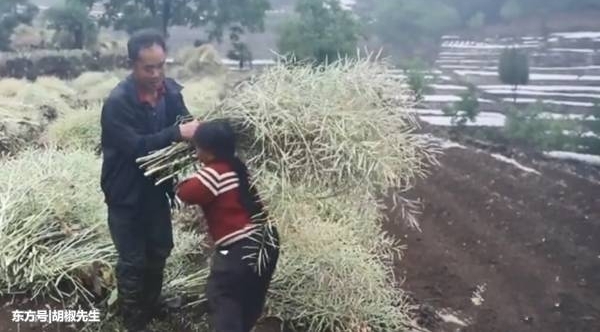 34岁村妇身高0.8米,丈夫对她不离不弃,两人辛苦奋斗