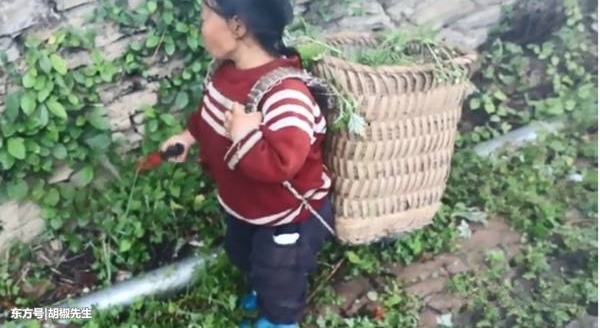 34岁村妇身高0.8米,丈夫对她不离不弃,两人辛苦奋斗