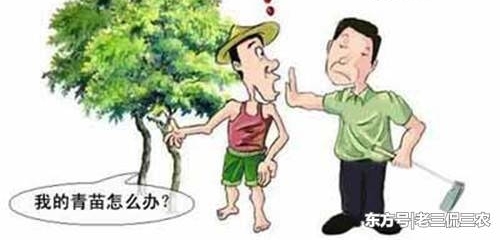 �ֵز�׬Ǯ������û����ֵ����ũ��Ϊ�ν�ץ���ţ����������ˣ�