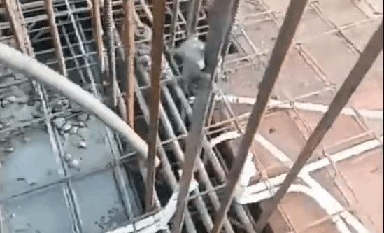 ���ӹ����Ϸ��ָֽ�ſ�Ų�������, ϸ������Ͻ����ӵ�¥��