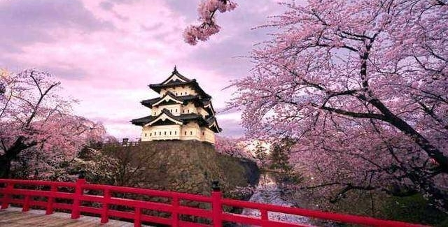 日本每年派出捕鲸团队,追到南极也要捕杀鲸鱼?鲸鱼:多大仇?