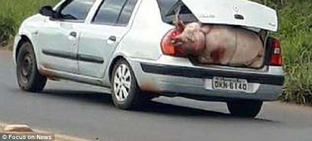 ���������෭ �����˽���װ�Լҳ�����