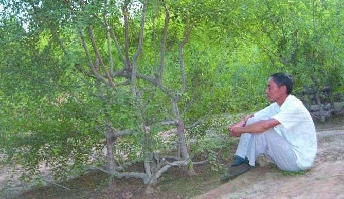 ��ү���������ӷ���һ�𣬳����ˡ��������������˸߼۹������