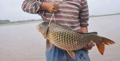 �ĵ������㣬ʹ���������䷽����Բʮ�׵���ȫ���ս�����