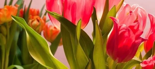 ��ר���ؿ�����̲�|ʰ�ĵ�СŮ�ˣ�������