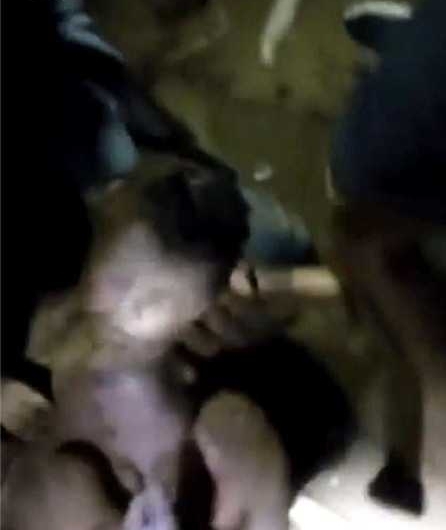 巴西新生女婴被亲人活埋 8小时后出土奇迹生还