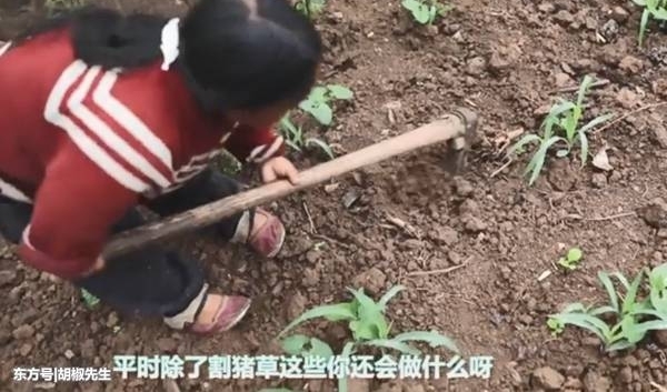 34岁村妇身高0.8米,丈夫对她不离不弃,两人辛苦奋斗