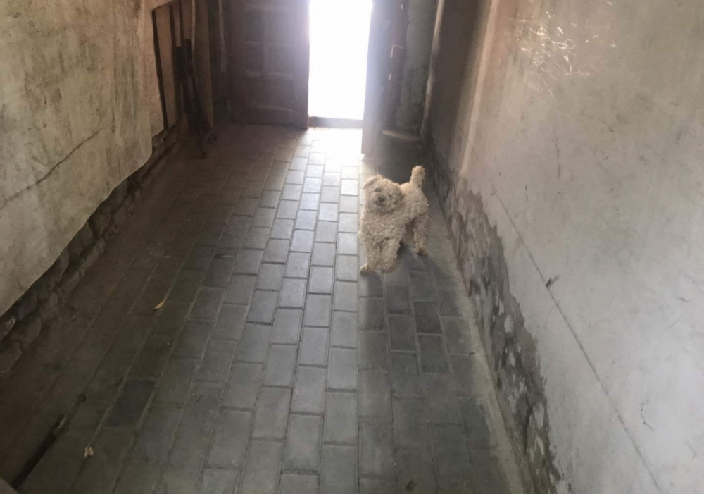 ����6ƽ�׵ķ����ĳ�250����ۣ��н���ú���