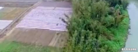 δ��ũ��ķ��ӻ������ֵǮ��ר����˻ش�