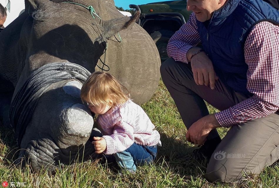 СŮ������Ϭţ�ȷ� Ϊ����ɱ�����þܵ�ţ��