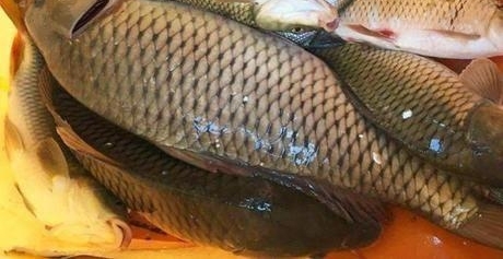 �ĵ������㣬ʹ���������䷽����Բʮ�׵���ȫ���ս�����