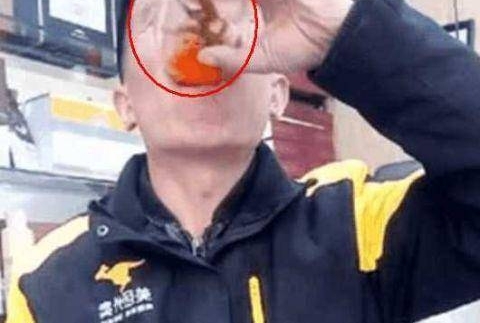 配酒生吞49条活泥鳅!男子直播26分钟后悲剧了