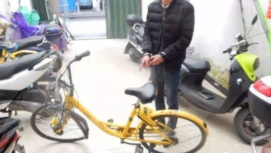 ���־�������һ�����ù������������ɡ��Żץ���Ż��Ա5�ˣ�