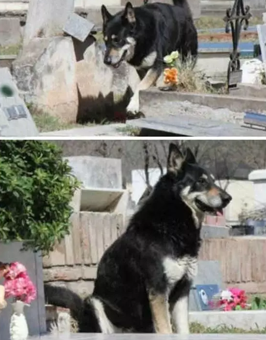 �����@��Щ��Ƭû��һ�Ż񽱣�ȴ��ů����������Ȧ