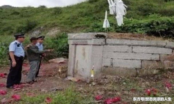 ̰����������峯��Ĺ�о��ּ�ʻ֤����˳������׽ס��Ĺ����