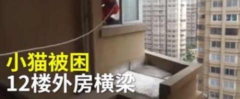 è�䱻��12¥������Ա��Ӫ�ȱ�˵����������ϸ�
