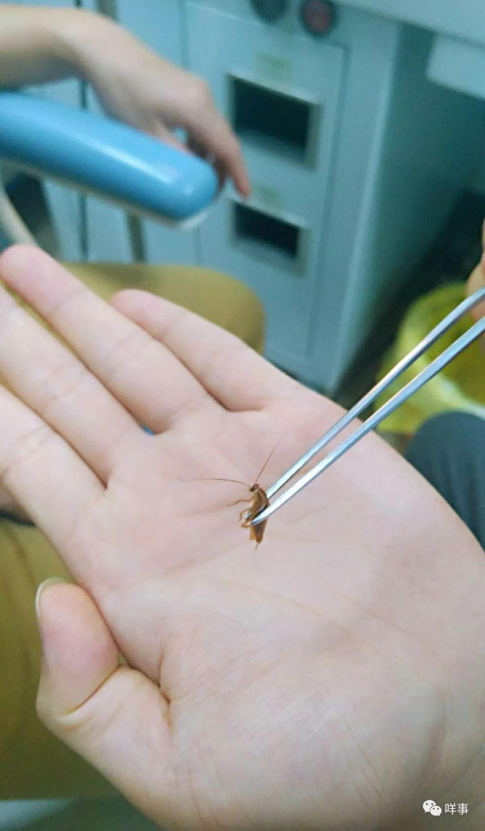 广州小伙天热熟睡,耳朵突然爬进小东西……医生取出后它还活着!