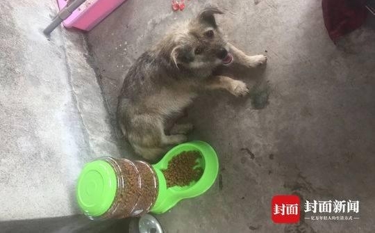 �а�������ΪС�һ��ṩ�����˶���Сʳ�á� ȫ�ǹ�30�ദ