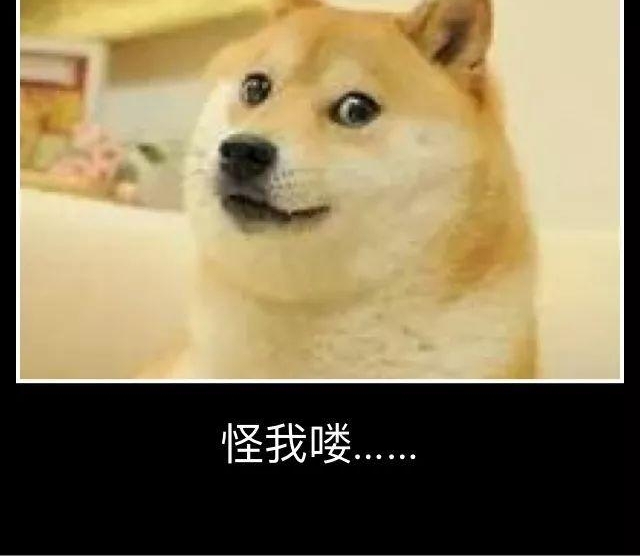 ���ڷ������������ﾹ����5���׻�棡