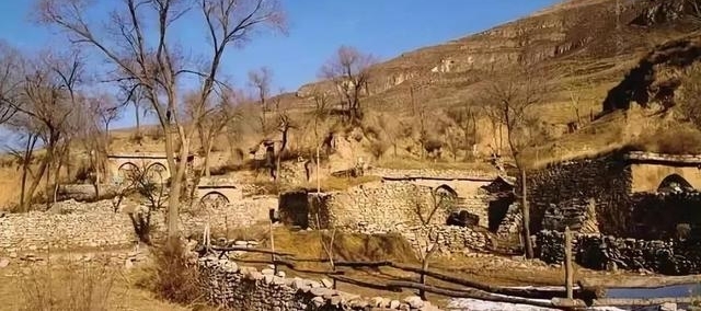 �ж������Һӡ�������רҵ��