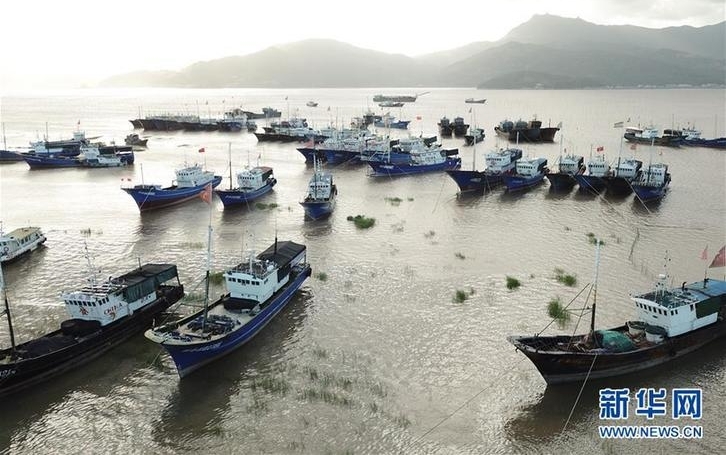 �㽭���ϣ�ȫ���Ը�Ӧ��̨�硰�����ǡ�