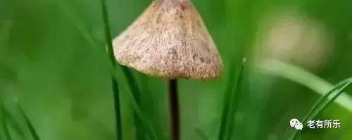我们老了就要这样过!当今最新潮的养老方式,太赞了!