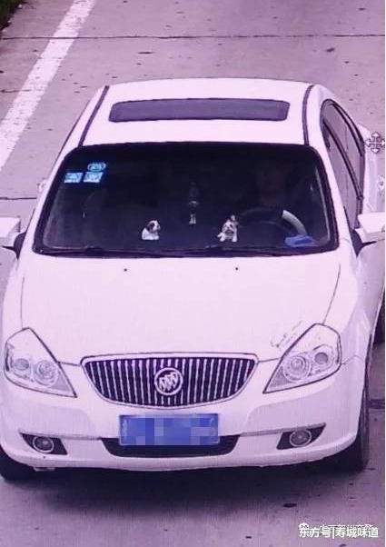 ����ʾ��Ϊ��Ů�ѣ��տ��ļ�ʻ֤���������� ��������ϧ����