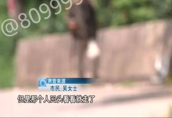 色狼被抓现行 “反咬”称遭强暴