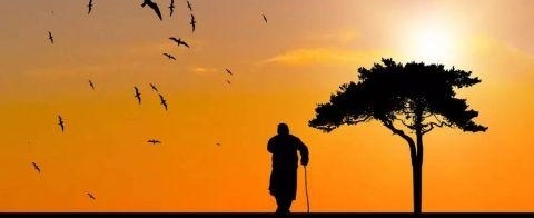 ��6���ˣ���ʹ����15���籣Ҳ�첻�����Ͻ�