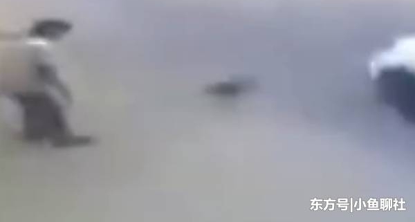 ���ӹ����è����������Ϊ�������˷ѽ�