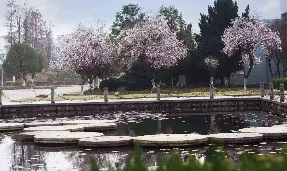 ��ˮ�ֻ��ˣ�9λ����һ���Ĵ�ʦ�������ǵ����ˡ���
