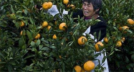 ��Щ����Ĵ��ڣ�����������ٲ�ҵһ������������������Σ������