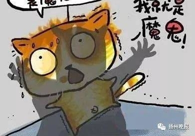 ̫�ɣ����ݾ���С�͹ݳ��緹��һ�仰��Ǳ��6����ӷ���ԭ�Ρ���