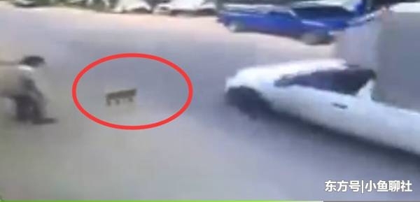 ���ӹ����è����������Ϊ�������˷ѽ�