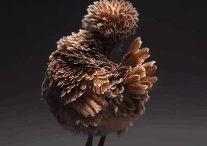 ��Ӱ���������? ����ģ��, ��ͷ��ʮ��, ���ƴ�Ƭ