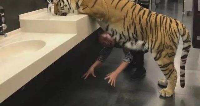 ���ӷ���ϴ�ֳ���ֻ�ϻ�����Ϊ�Ǽٵģ���������ģ��ϻ�ת����ͷ��