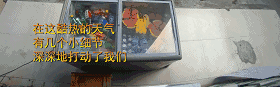 39�ȸ����£����ڽ�ͷ�������˿��ܱ��񣬽�����˿����ˡ���