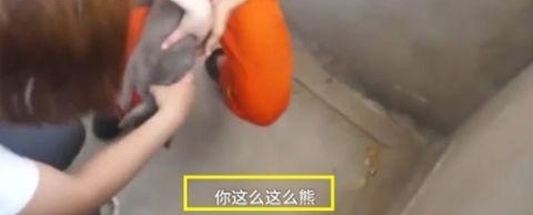 è�䱻��12¥������Ա��Ӫ�ȱ�˵����������ϸ�