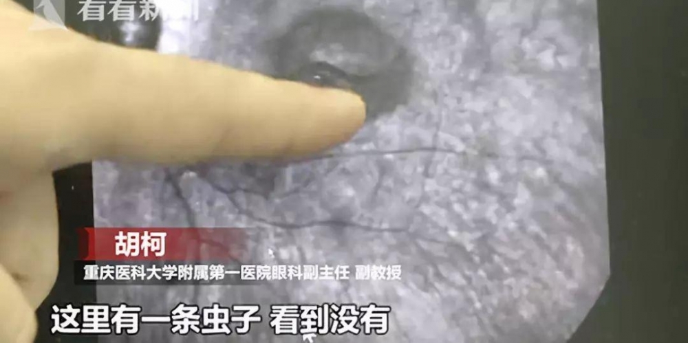 ���ڷ������������ﾹ����5���׻�棡