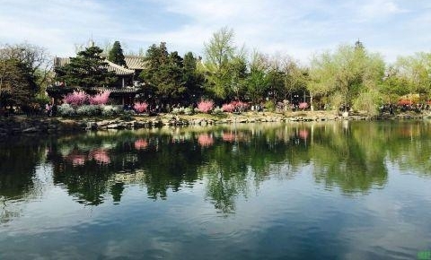 清华大学是中国的最高学府,清华大学的校长是什么级别的干部?